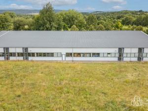 Prodej výrobních prostor, Krásno, Kladenská, 4900 m2