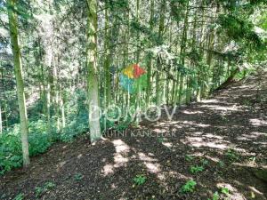 Prodej pole, Mezouň, 2730 m2