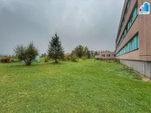 Pronájem bytu 1+kk, Strašice, 50 m2