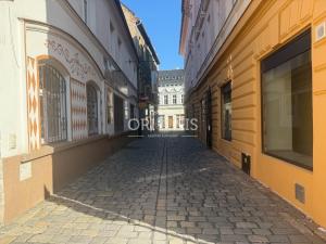 Pronájem rodinného domu, Chomutov, Příční, 250 m2