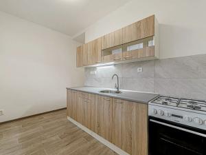 Pronájem bytu 1+1, Ostrava, Vietnamská, 36 m2