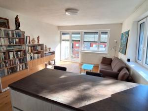 Prodej bytu 2+kk, Plasy, 56 m2