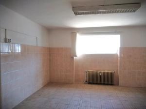 Pronájem skladu, Praha - Střešovice, Za Pohořelcem, 55 m2