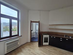 Prodej bytu 1+1, Ústí nad Labem - Střekov, Žukovova, 48 m2