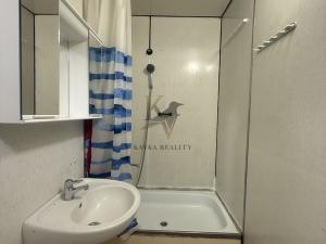 Pronájem bytu 1+kk, Ostrava, Hornopolní, 33 m2