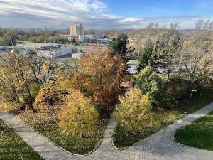 Pronájem bytu 1+kk, Ostrava, Hornopolní, 33 m2