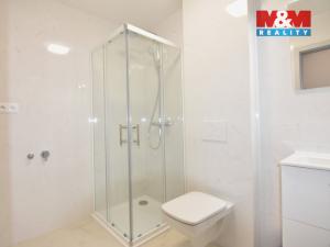 Pronájem bytu 4+kk, Lysá nad Labem, Sojovická, 90 m2