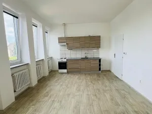 Pronájem bytu 1+kk, Dolany, 32 m2