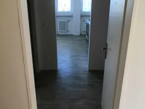 Pronájem bytu 1+kk, Dolany, 32 m2