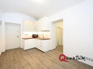 Pronájem bytu 1+1, Praha - Podolí, Sinkulova, 27 m2
