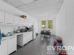 Pronájem kanceláře, Praha, Modřanská, 19 m2