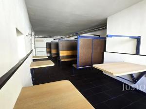 Prodej vícegeneračního domu, Písek, V Koutě, 786 m2