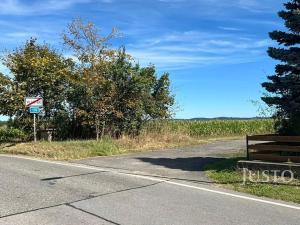 Prodej pozemku pro bydlení, Vlastec, 1177 m2