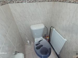 Pronájem rodinného domu, Komárov, 150 m2