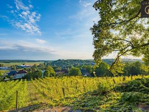 Prodej rodinného domu, Benátky nad Jizerou - Benátky nad Jizerou II, Kalistova, 190 m2
