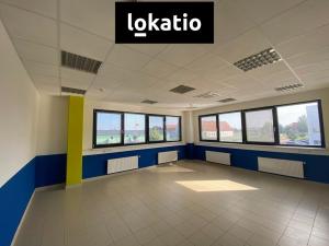 Pronájem skladu, Olomouc, Hněvotínská, 19360 m2