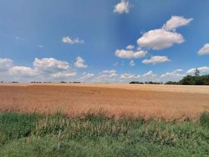 Prodej pole, Stránka, 7066 m2