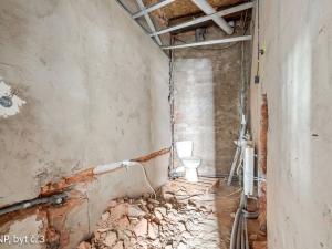 Prodej vícegeneračního domu, Osek, K. H. Borovského, 452 m2