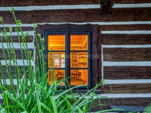 Prodej chalupy, Dalečín, 536 m2