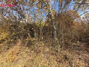 Prodej pozemku, Hošťálková, 1781 m2