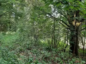 Prodej pozemku, Dolní Zimoř, 1049 m2