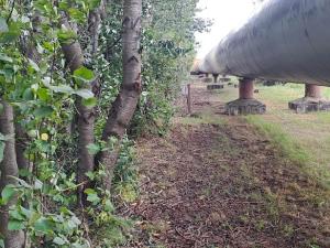 Prodej komerčního pozemku, Měšice, 2035 m2