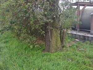 Prodej komerčního pozemku, Měšice, 2035 m2