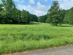 Dražba lesa, Česká Kamenice, 14221 m2