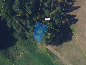 Dražba louky, Žďárec, 225 m2