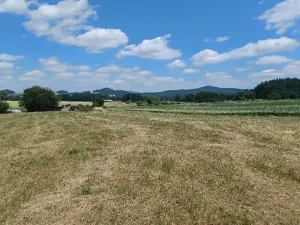 Dražba pozemku, Jestřebí, 13769 m2