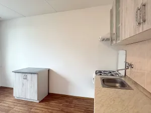 Pronájem bytu 1+1, Chomutov, Kundratická, 33 m2