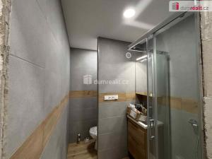 Pronájem bytu 1+kk, Otrokovice, Školní, 30 m2