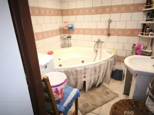 Prodej chalupy, Nová Ves v Horách, 284 m2