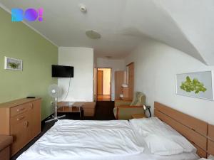 Prodej restaurace, Třeboň, Táboritská, 700 m2