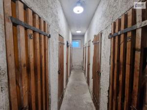 Pronájem bytu 1+kk, Příbram - Příbram I, Riegrova, 23 m2