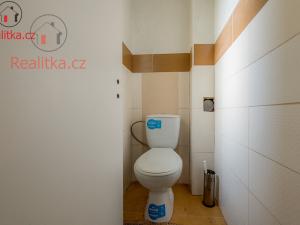 Prodej rodinného domu, Štětí - Brocno, 140 m2