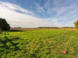 Prodej pozemku pro bydlení, Přelouč - Škudly, 1105 m2