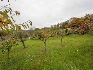 Prodej chaty, Dolany nad Vltavou, V Borovičkách, 48 m2