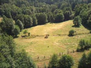 Prodej pozemku pro bydlení, Olešnice v Orlických horách, 3027 m2