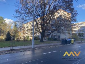 Prodej bytu 2+1, Hradec Králové - Slezské Předměstí, Severní, 44 m2