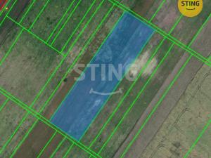 Prodej pole, Moravský Žižkov, 9180 m2