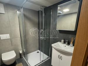 Pronájem bytu 1+kk, Praha - Nové Město, Sokolská, 17 m2