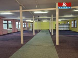 Pronájem obchodního prostoru, Chomutov, Alfonse Muchy, 260 m2