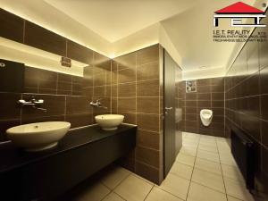 Pronájem restaurace, Brno - Veveří, Kounicova, 330 m2