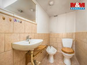 Prodej chalupy, Ronov nad Doubravou, U stadionu, 111 m2