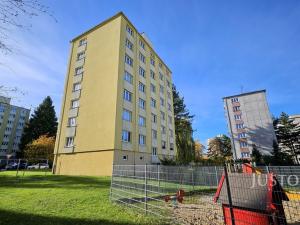 Prodej bytu 2+1, Písek, Dr. M. Horákové, 51 m2