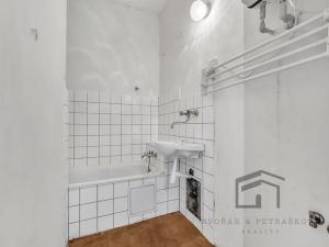 Prodej bytu 1+1, Praha - Nusle, Družstevní, 50 m2