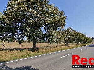 Prodej komerčního pozemku, Rajhrad, Stará pošta, 2501 m2