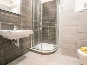 Pronájem bytu 1+kk, Brno, Lišejníková, 35 m2