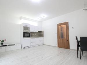 Pronájem bytu 1+kk, Brno, Lišejníková, 35 m2